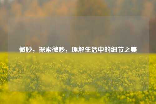 微妙，探索微妙，理解生活中的细节之美