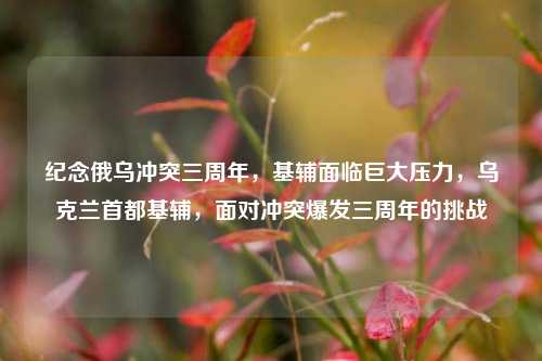 纪念俄乌冲突三周年，基辅面临巨大压力，乌克兰首都基辅，面对冲突爆发三周年的挑战