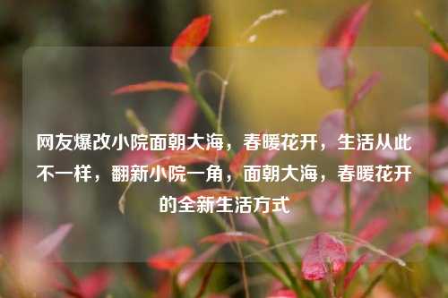 网友爆改小院面朝大海，春暖花开，生活从此不一样，翻新小院一角，面朝大海，春暖花开的全新生活方式