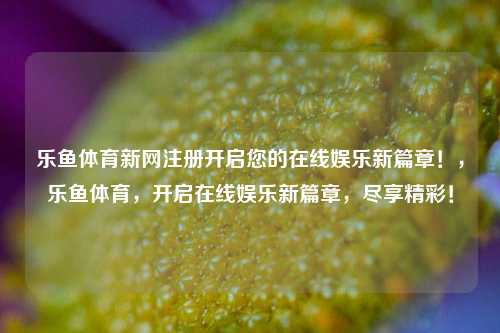 乐鱼体育新网注册开启您的在线娱乐新篇章！，乐鱼体育，开启在线娱乐新篇章，尽享精彩！