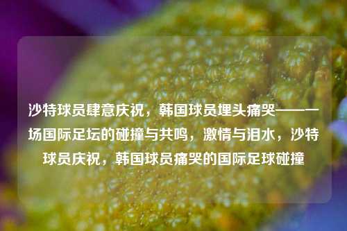 沙特球员肆意庆祝，韩国球员埋头痛哭——一场国际足坛的碰撞与共鸣，激情与泪水，沙特球员庆祝，韩国球员痛哭的国际足球碰撞