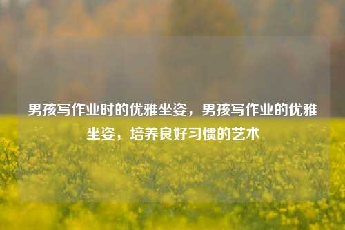 男孩写作业时的优雅坐姿，男孩写作业的优雅坐姿，培养良好习惯的艺术