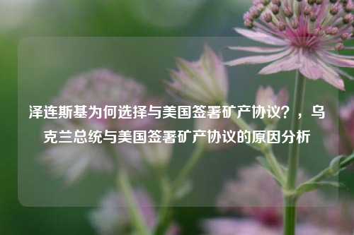 泽连斯基为何选择与美国签署矿产协议？，乌克兰总统与美国签署矿产协议的原因分析