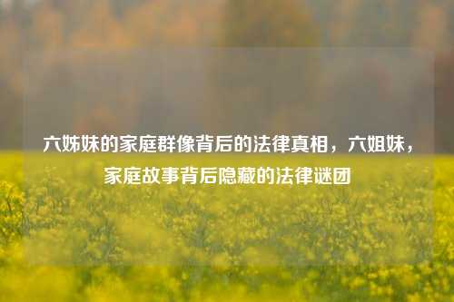 六姊妹的家庭群像背后的法律真相，六姐妹，家庭故事背后隐藏的法律谜团