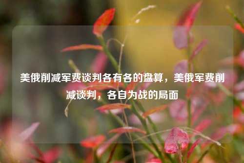 美俄削减军费谈判各有各的盘算，美俄军费削减谈判，各自为战的局面