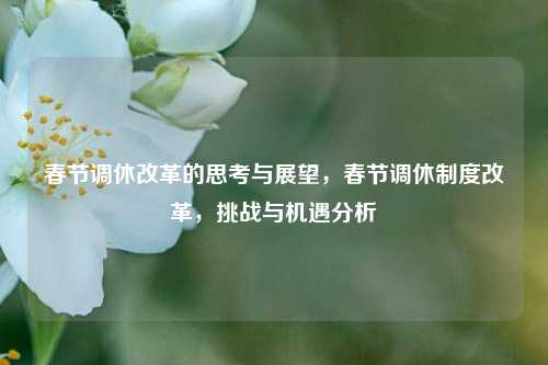 春节调休改革的思考与展望，春节调休制度改革，挑战与机遇分析