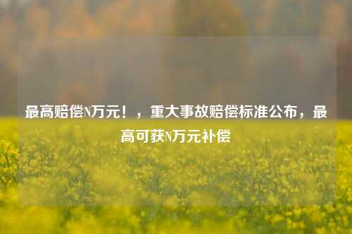 最高赔偿N万元！，重大事故赔偿标准公布，最高可获N万元补偿