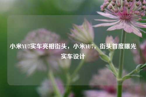 小米YU7实车亮相街头，小米YU7，街头首度曝光实车设计
