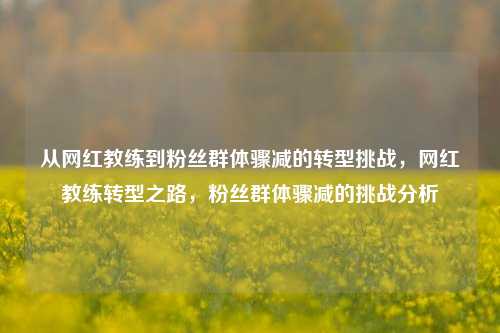 从网红教练到粉丝群体骤减的转型挑战，网红教练转型之路，粉丝群体骤减的挑战分析