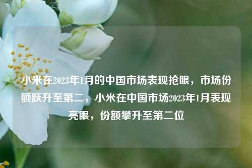 小米在2023年1月的中国市场表现抢眼，市场份额跃升至第二，小米在中国市场2023年1月表现亮眼，份额攀升至第二位