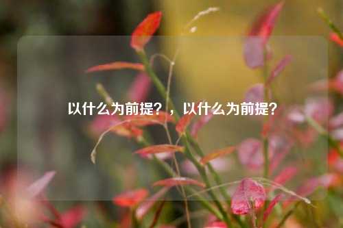 以什么为前提？，以什么为前提？