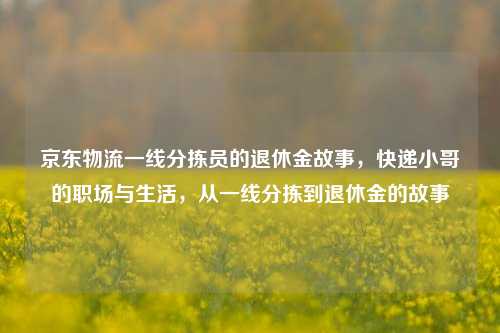 京东物流一线分拣员的退休金故事，快递小哥的职场与生活，从一线分拣到退休金的故事