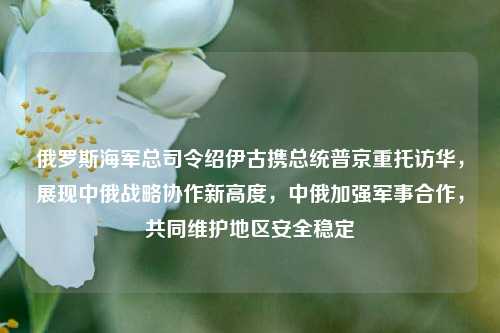 俄罗斯海军总司令绍伊古携总统普京重托访华，展现中俄战略协作新高度，中俄加强军事合作，共同维护地区安全稳定