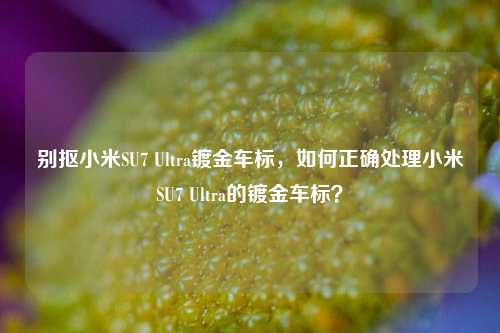 别抠小米SU7 Ultra镀金车标，如何正确处理小米SU7 Ultra的镀金车标？