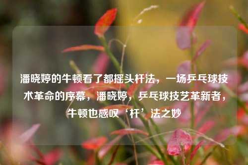 潘晓婷的牛顿看了都摇头杆法，一场乒乓球技术革命的序幕，潘晓婷，乒乓球技艺革新者，牛顿也感叹‘杆’法之妙