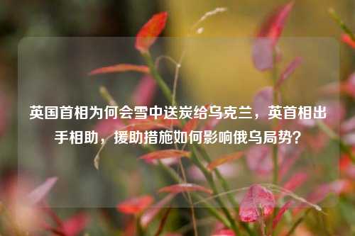 英国首相为何会雪中送炭给乌克兰，英首相出手相助，援助措施如何影响俄乌局势？