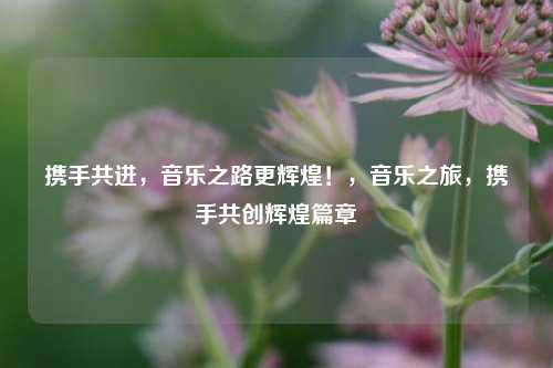 携手共进，音乐之路更辉煌！，音乐之旅，携手共创辉煌篇章