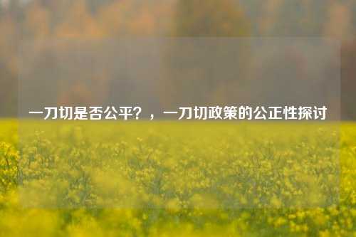 一刀切是否公平？，一刀切政策的公正性探讨