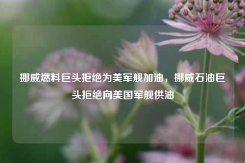 挪威燃料巨头拒绝为美军舰加油，挪威石油巨头拒绝向美国军舰供油