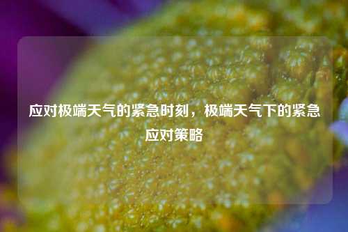 应对极端天气的紧急时刻，极端天气下的紧急应对策略