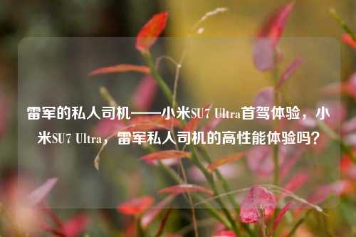 雷军的私人司机——小米SU7 Ultra首驾体验，小米SU7 Ultra，雷军私人司机的高性能体验吗？