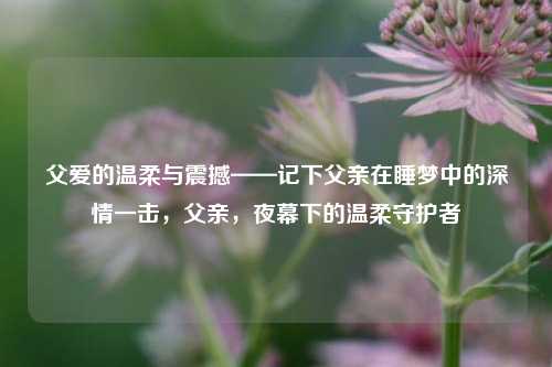父爱的温柔与震撼——记下父亲在睡梦中的深情一击，父亲，夜幕下的温柔守护者