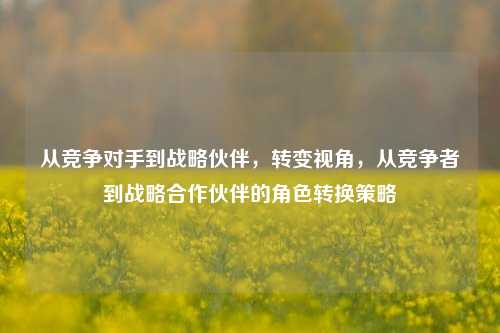 从竞争对手到战略伙伴，转变视角，从竞争者到战略合作伙伴的角色转换策略