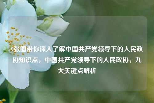 9张图带你深入了解中国共产党领导下的人民政协知识点，中国共产党领导下的人民政协，九大关键点解析