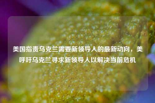 美国指责乌克兰需要新领导人的最新动向，美呼吁乌克兰寻求新领导人以解决当前危机