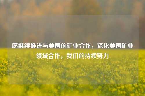 愿继续推进与美国的矿业合作，深化美国矿业领域合作，我们的持续努力
