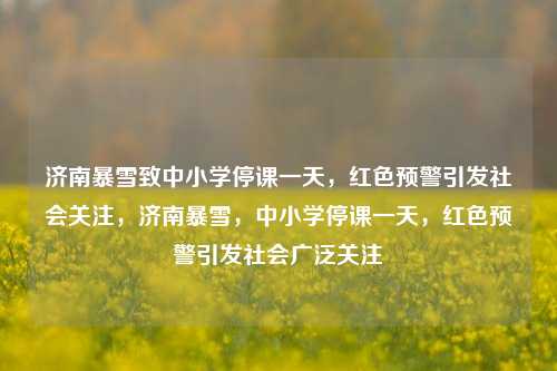 济南暴雪致中小学停课一天，红色预警引发社会关注，济南暴雪，中小学停课一天，红色预警引发社会广泛关注