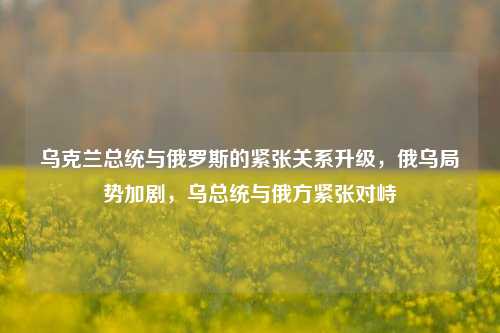 乌克兰总统与俄罗斯的紧张关系升级，俄乌局势加剧，乌总统与俄方紧张对峙
