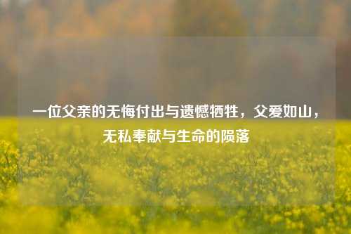 一位父亲的无悔付出与遗憾牺牲，父爱如山，无私奉献与生命的陨落