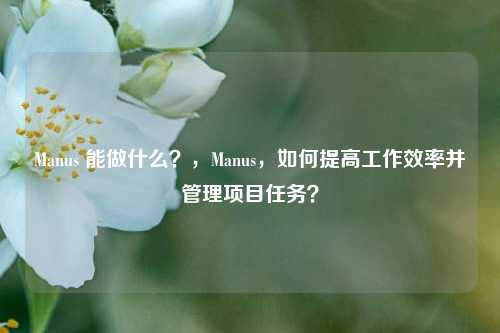Manus 能做什么？，Manus，如何提高工作效率并管理项目任务？