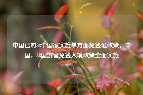 中国已对38个国家实施单方面免签证政策，中国，38国游客免签入境政策全面实施