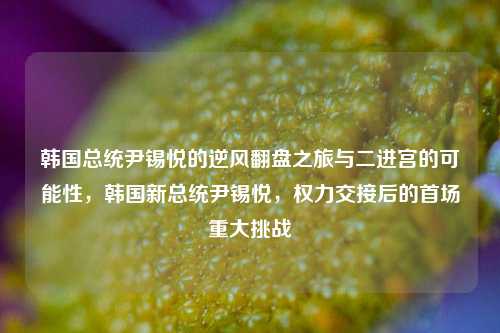 韩国总统尹锡悦的逆风翻盘之旅与二进宫的可能性，韩国新总统尹锡悦，权力交接后的首场重大挑战