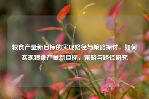 粮食产量新目标的实现路径与策略探讨，如何实现粮食产量新目标，策略与路径研究