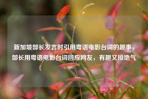新加坡部长发言时引用粤语电影台词的趣事，部长用粤语电影台词回应网友，有趣又接地气