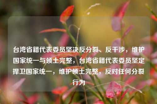 台湾省籍代表委员坚决反分裂、反干涉，维护国家统一与领土完整，台湾省籍代表委员坚定捍卫国家统一，维护领土完整，反对任何分裂行为