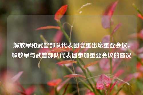 解放军和武警部队代表团隆重出席重要会议，解放军与武警部队代表团参加重要会议的盛况