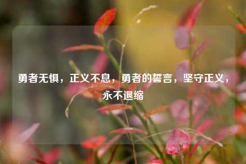 勇者无惧，正义不息，勇者的誓言，坚守正义，永不退缩
