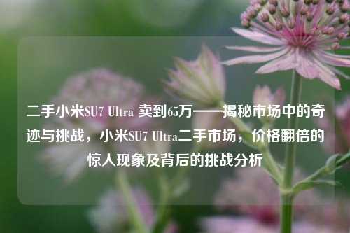 二手小米SU7 Ultra 卖到65万——揭秘市场中的奇迹与挑战，小米SU7 Ultra二手市场，价格翻倍的惊人现象及背后的挑战分析
