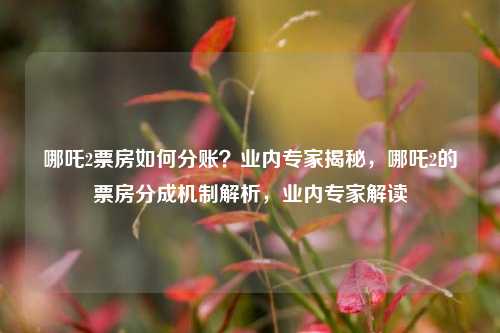哪吒2票房如何分账？业内专家揭秘，哪吒2的票房分成机制解析，业内专家解读