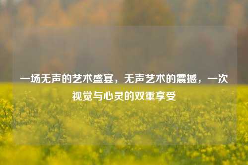 一场无声的艺术盛宴，无声艺术的震撼，一次视觉与心灵的双重享受