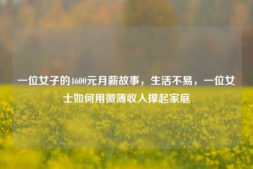 一位女子的4600元月薪故事，生活不易，一位女士如何用微薄收入撑起家庭