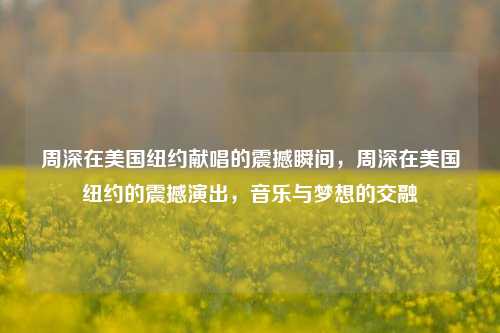 周深在美国纽约献唱的震撼瞬间，周深在美国纽约的震撼演出，音乐与梦想的交融