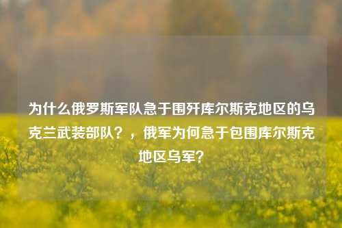 为什么俄罗斯军队急于围歼库尔斯克地区的乌克兰武装部队？，俄军为何急于包围库尔斯克地区乌军？