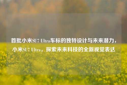 首批小米SU7 Ultra车标的独特设计与未来潜力，小米SU7 Ultra，探索未来科技的全新视觉表达