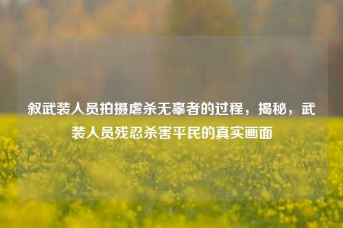 叙武装人员拍摄虐杀无辜者的过程，揭秘，武装人员残忍杀害平民的真实画面