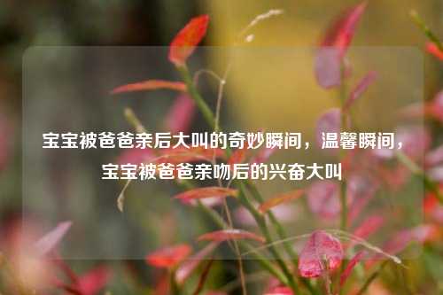 宝宝被爸爸亲后大叫的奇妙瞬间，温馨瞬间，宝宝被爸爸亲吻后的兴奋大叫